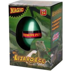 Jouet Jeu Coquille Éclosion Modèle Aléatoire 258 Oeuf Magique Dinosaure 