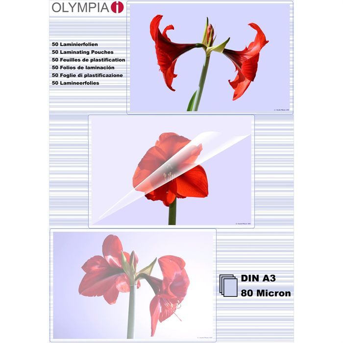 Olympia Feuilles pour plastifieuse à chaud