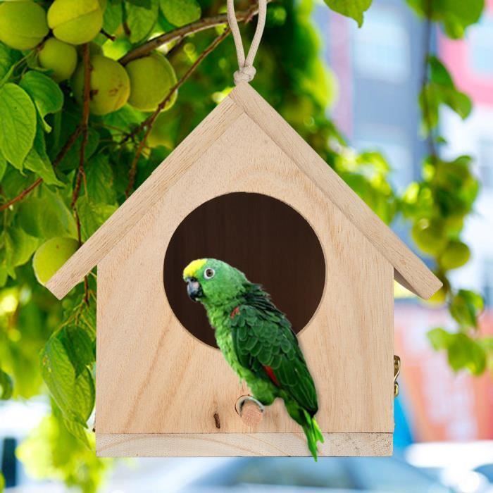 Grand nid Dox Nest House Maison des oiseaux Maison des oiseaux Maison Boîte des oiseaux Boîte en bois