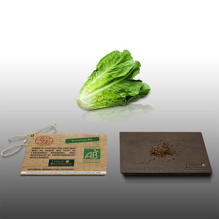 Lot de 500 graines à semer - Le Grenier d'Abondance - Potager Ratatouille - 7 sachets Lot de 500 graines à semer - Le Grenier d'Abondance - Potager Ratatouille - 7 sachets