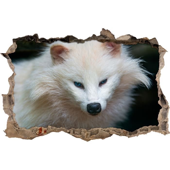 Belle Percee De Mur De Renard Polaire En Regard 3d Le Mur Ou Le Format De L Autocollant De Porte 62x42cm Stickers Muraux Stic Cdiscount Maison Belle Percee De Mur De Renard Polaire En Regard 3d Le Mur Ou Le Format De L Autocollant De Porte 62x42cm Stickers Muraux Stic Cdiscount Maison