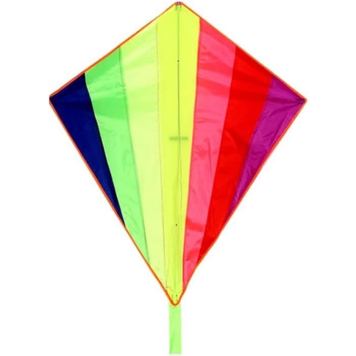 Grand Cerf-Volant Delta Arc-en-Ciel Flying Hoofer - Facile à Voler, Ligne 91,4m, Enfants Et Adultes