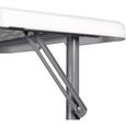 Dreamade Table Pliante Portable en Plastique - Table de Jardin pour Camping Pique-Nique Barbucue (S)-2