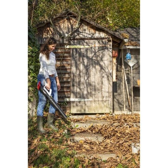 Souffleur Aspirateur Sans Fil 21V 2-en-1 – Puissant, Léger, Avec Batterie Et Sac – Pour Jardin, Terrasse, Allées