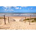 Papier Peint Art-DUNE DE SABLE-(215540)-8lés-400x260cm-Réatisme Mural Géant XXL-Plage Beach Sun Sand Soleil Ocean Sky-0