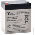 Batterie plomb AGM Y5-12 12V 5Ah YUCEL - Unité(s)-0