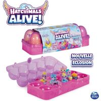Hatchimals - Boîte 5 œufs avec 5 Hatchimals + Accessoires