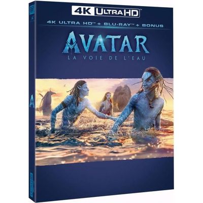 Avatar la voix de l'eau Combo Blu-ray 4K + Bluray Edition Française -  Cdiscount DVD