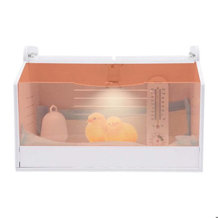Meilleurs prix pour Incubateur pour poussins 15 W 220 V entièrement automatique avec lampe chauffante et thermomètre