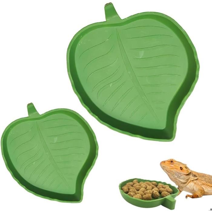 Terrarium Tortue Terrestre 2 Pièces Bols Eau Nourriture Gamelles Reptiles Vert Forme Mangue Aile Taille Grand Petit