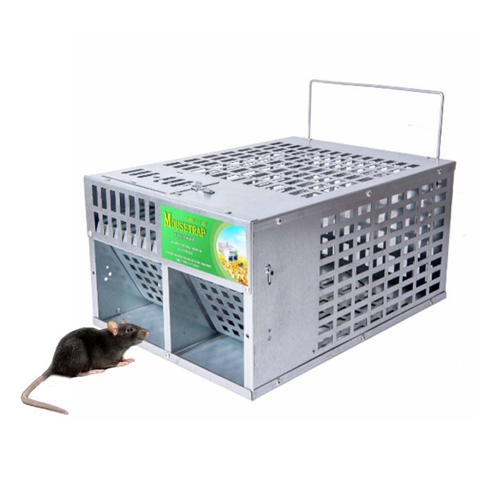 AUCUNE Piège vivant Piège à rats à double porte attrape-souris continu répulsif antiparasitaire piscine ustensiles Argent