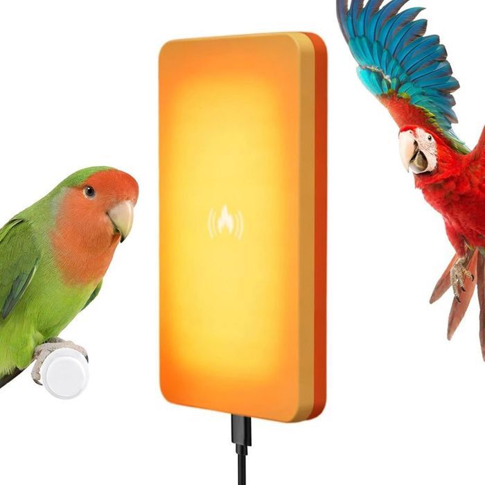 Chauffe-Oiseau Chauffante À Température Constante Chauffage Anti-Morsure Pour Cage À Oiseaux pour Volaille Extérieur Hiver Bain Poul