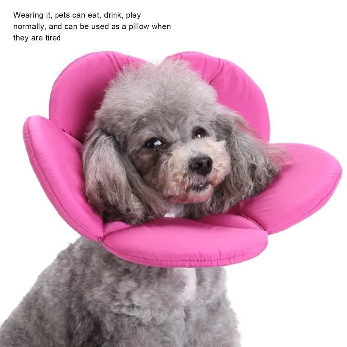 Collier Cervical Doux Pour Hamster, Chat, Lapin - Collier Élisabéthain De Récupération En EVA/Éponge - Ajustable, Pour Empêcher Léchage Et Grattage