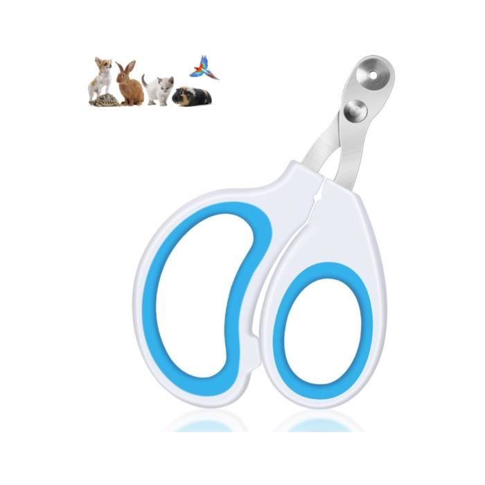 Coupe Griffes - Professionnel - Ergonomique - Design Sûr - Pour Chats et Petits Animaux
