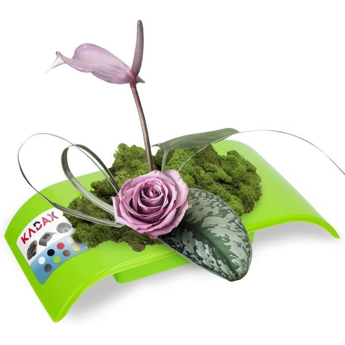 Lot De 4 Supports Ikebana Kenzan Ronds Transparents - Pour Arrangements Floraux Japonais Avec Ventouses