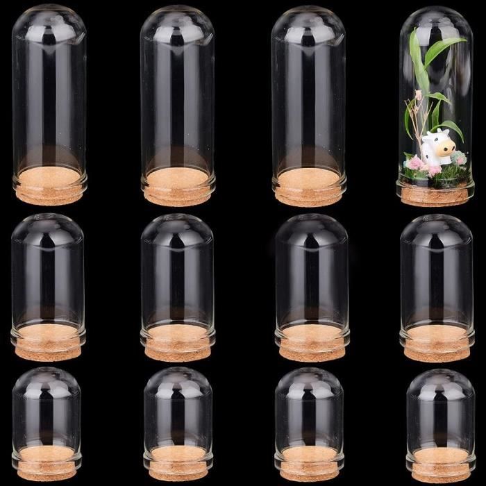 Cloche En Verre PandaHall 11x18,5cm - Dôme Avec Base Bois Pour Déco Ou Plantes Succulentes
