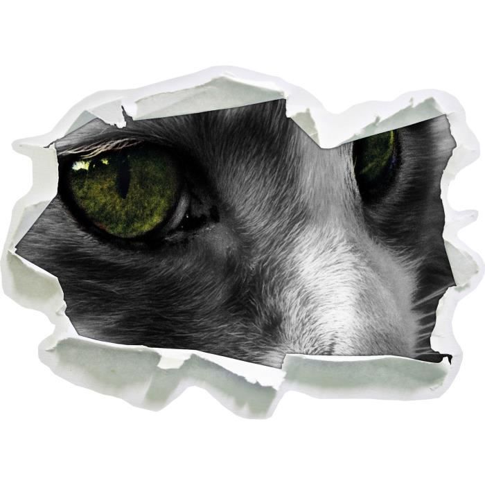 Petit Chat Dans Le Profil Lateral Papier 3d Sticker Mural Taille 62x45 Cm Decoration Murale 3d Stickers Muraux Stickers Cdiscount Maison Petit Chat Dans Le Profil Lateral Papier 3d Sticker Mural Taille 62x45 Cm Decoration Murale 3d Stickers Muraux Stickers Cdiscount Maison