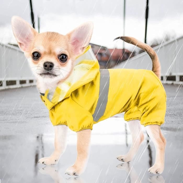 Imperméable pour chihuahua online