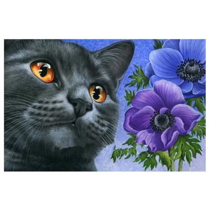 Diy 5d Broderie Diamant Kit Chat Et Fleur 5d Diamond Painting 5d Diy Diamant Peinture D 35x25cm M594 Achat Vente Tableau Toile Soldes Sur Cdiscount Des Le Janvier Cdiscount Diy 5d Broderie Diamant Kit Chat Et Fleur 5d Diamond Painting 5d Diy Diamant Peinture D 35x25cm M594 Achat Vente Tableau Toile Soldes Sur Cdiscount Des Le Janvier Cdiscount