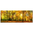 Tableau Panoramique Forêt En Automne - Impression Photo Paysage Sur Toile 120x50 Cm - Décoration Murale Haut De Gamme Pour Salon, Chambre Et Cuisine
