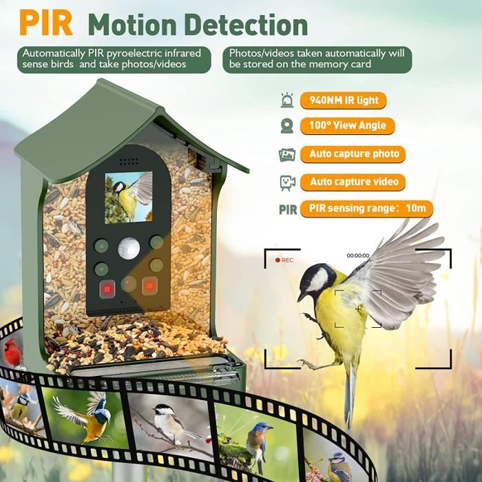 Cozion Mangeoire À Oiseaux Intelligente Caméra Détecteur Infrarouge  Automatique Pir Hd 1080p - Cdiscount