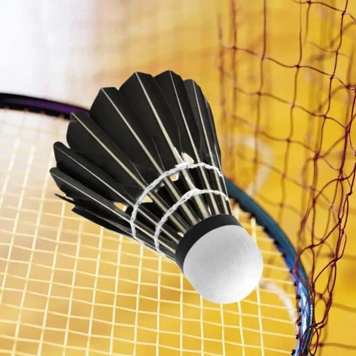 Paires De Pattes D'ours Pour Entraînement Boxe - Double Pagaie, PU & EVA Dense