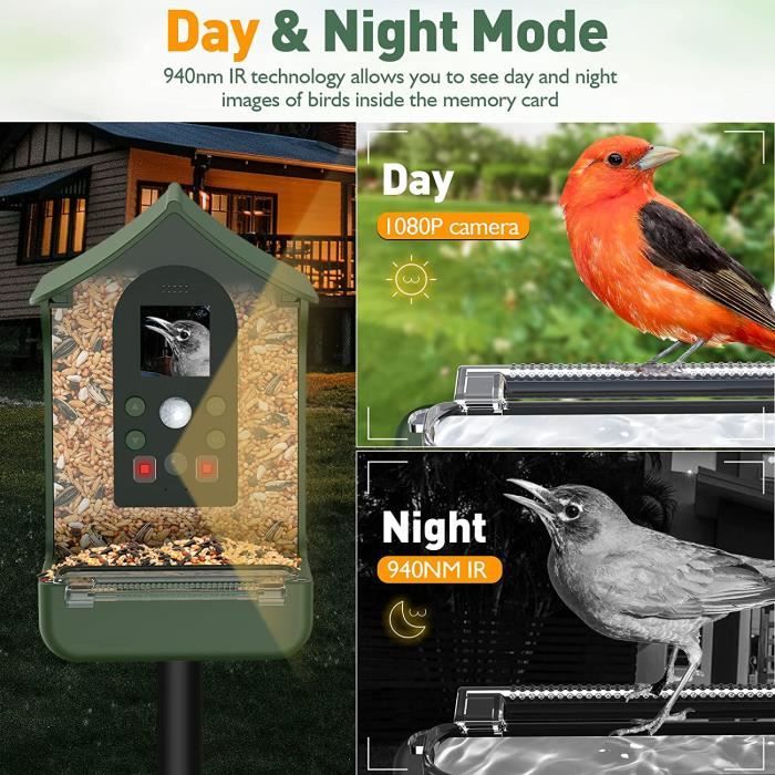 Mangeoire à oiseaux avec caméra HD 1080p Caméra Wifi se connecte à distance  au téléphone mobile pour voir les photos d'oiseaux en plein air pour les  amateurs d'oiseaux