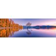 Puzzle 1000 pièces panoramique - CLEMENTONI - Lac Wanaka Tree - Adulte - Blanc-0