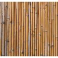 Ecran en bambou naturel - NATURE - 100x180cm - Beige - A monter soi-même - Garantie 2 ans-0