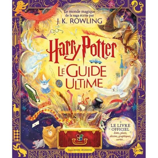 Harry Potter Tome 1 : Harry Potter à l'école des sorciers (Gryffondor).  Edition collector 20e anniversaire - Cdiscount Librairie
