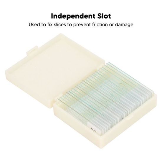 Lot De 100 Lames Microscope Verre + 5 Compte-gouttes - Dimensions 25,4 X 76,2 Mm, Prêtes à L'emploi - 6
