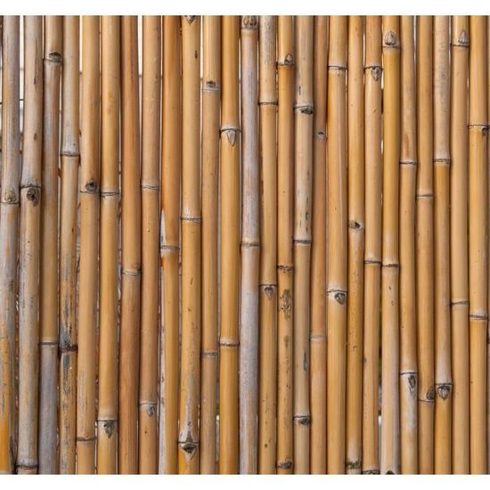 Ecran en bambou naturel - NATURE - 100x180cm - Beige - A monter soi-même - Garantie 2 ans