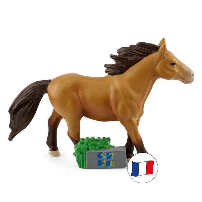 Figurine Audio - Tonies - Cest Toujours Pas Sorcier - Animaux - 3 ans - Multicolore