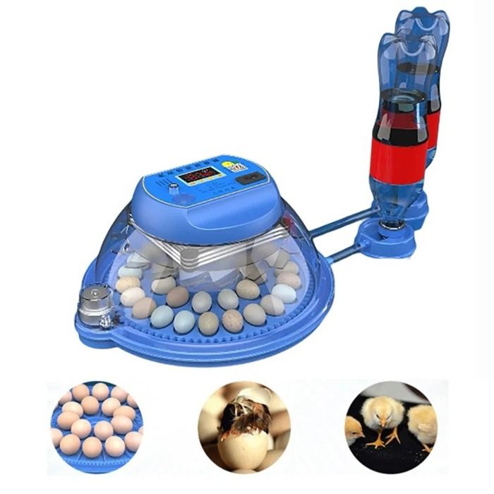 Meilleurs prix pour Incubateur à Couver Élèctrique de Haute Qualité Contrôle de la Température, 33 Oeufs, Facile à Nettoyer