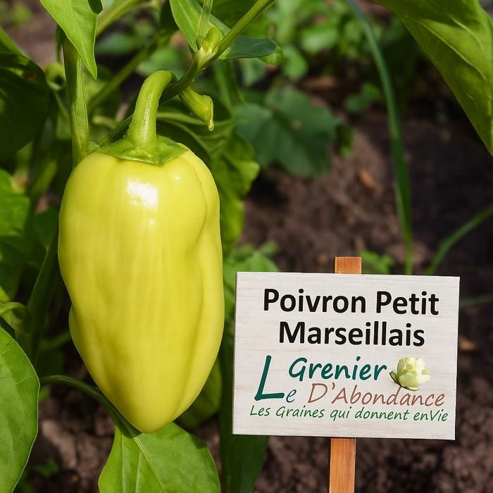 Occhiali Da Sole Cerdá Life's Little Moments - Licenza Sonic, Blu, Unisex - Foto 9