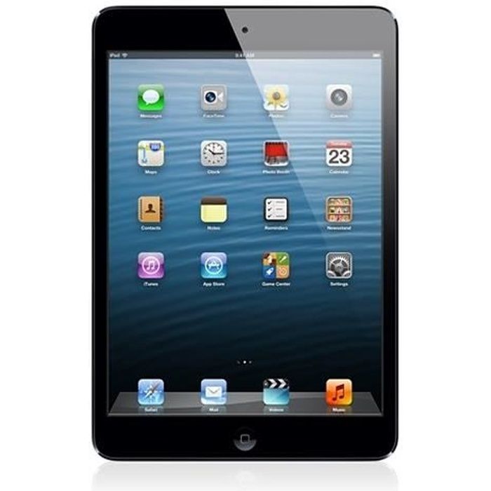Apple iPad mini 201 cm (7.9) 1024 x 768 pixels 16 Go 05 Go iOS Gris