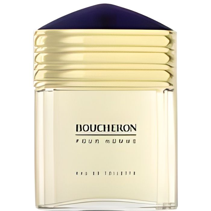 BOUCHERON Boucheron pour Homme Eau de Toilette 100 ml
