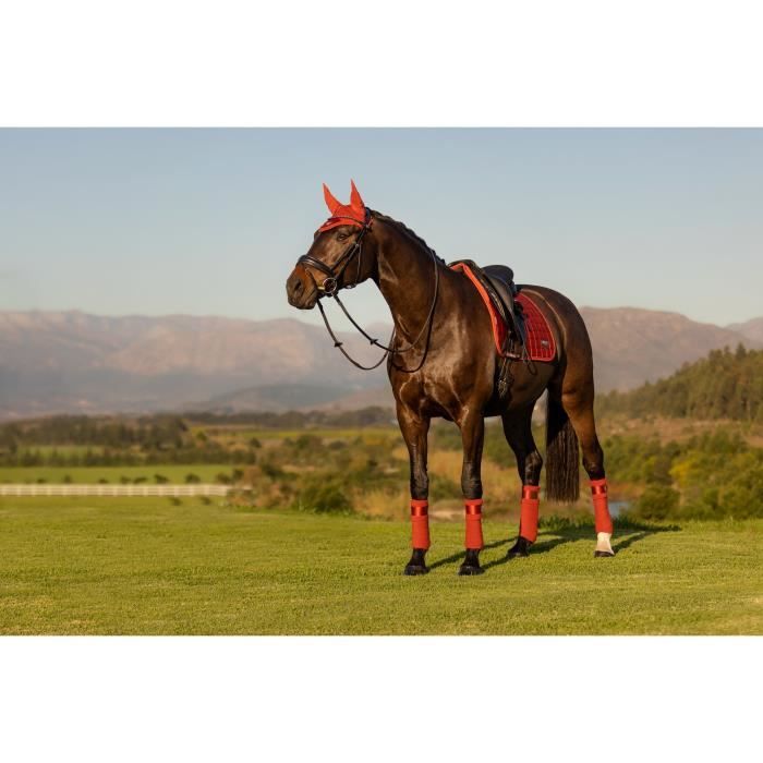 Tapis de dressage Square Loire Classic Peony