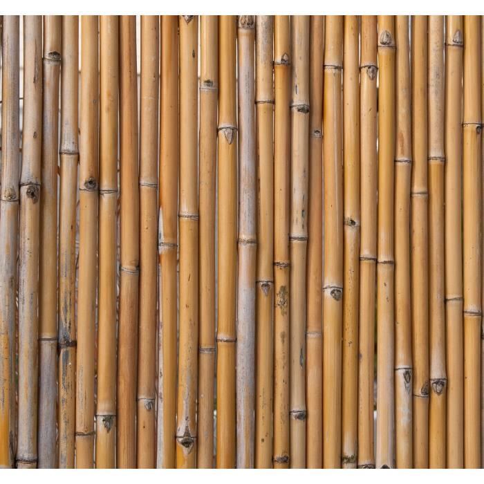 Ecran en bambou naturel - NATURE - 100x180cm - Beige - A monter soi-même - Garantie 2 ans