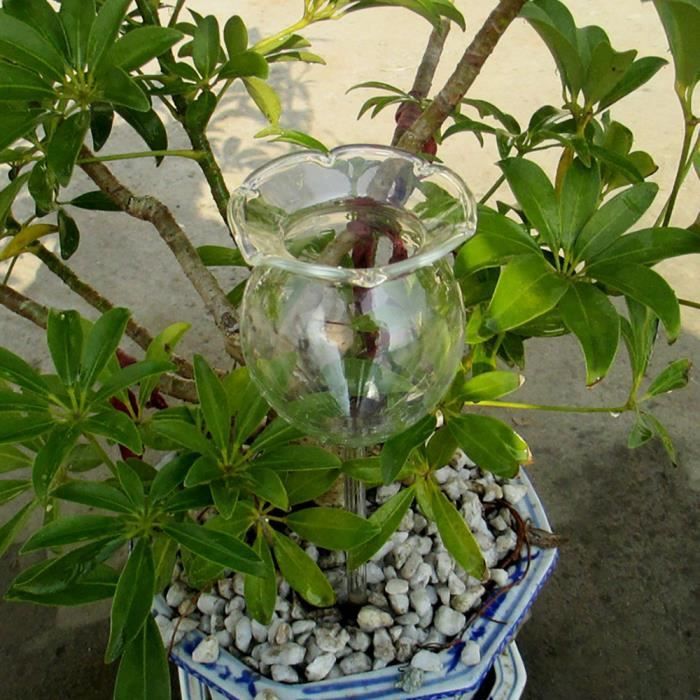 Arroseur GENERIQUE 2 globes d&rsquo;arrosage pour plantes en verre -  réservoir d&rsquo;eau arroseur pour plantes, goutte à goutte, intérieur  extérieur
