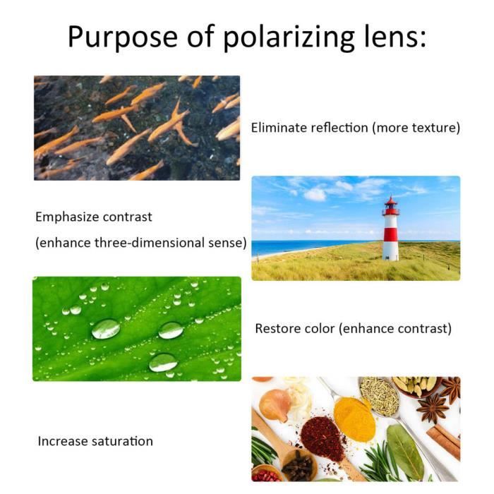 Polarisant discount