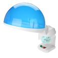 Facial steamer