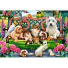 CASTORLAND Puzzle 1000 pièces : Les animaux au parc aille Unique Coloris Unique