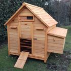 Poulailler - Poulailler Direct - Landais - Bois traité - 8 à 10 poules - 125cm x 125cm x 118cm
