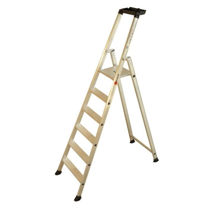 ESCALUX Escabeau Super Pro 6 marches