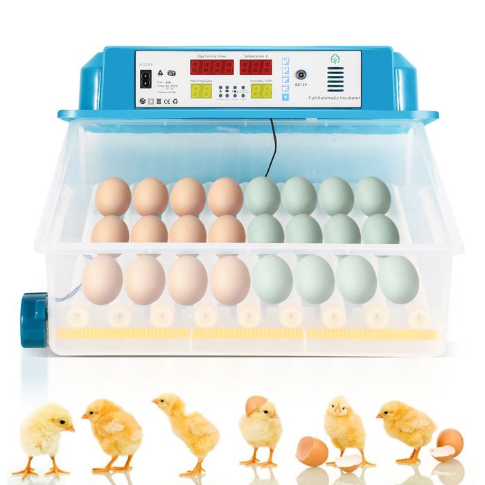 Meilleurs prix pour Hoviecole Couveuse Oeuf Automatique - Vert - Couveuse d'Œuf Incubateur pour Éclosion d'Œufs Retournement Auto 64 Œufs