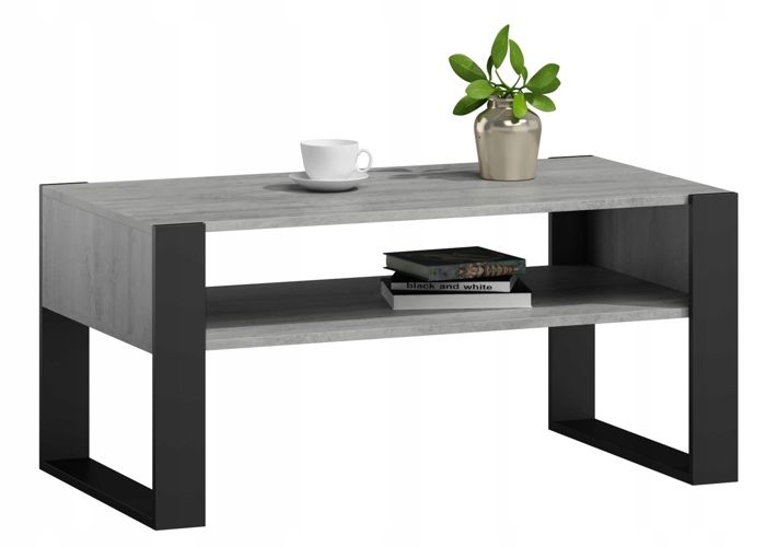 Table Basse KAJA Béton noir - Table de salon avec étagère - 120x63.6x50 cm
