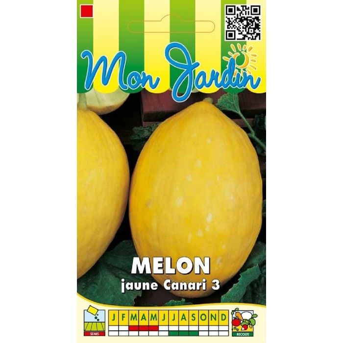 Graine - Semence - Melon Jaune des Canaries