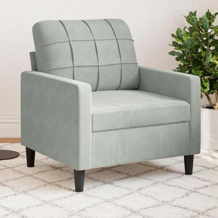 NEW 2026 Fauteuil Gris clair 60 cm Velours L2463