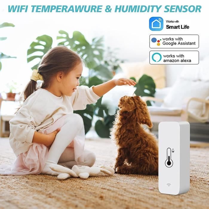Thermomètre Hygromètre WiFi Avec Sonde Externe – Pour Congélateur, Aquarium – IP21 – Piles AAA
